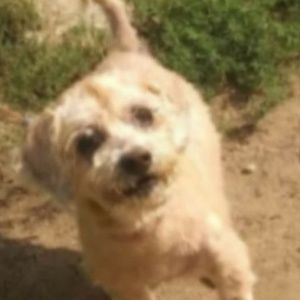 Meet your Posher, Kristie